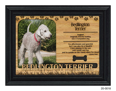 Bedlington Terrier