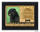 Bouvier Des Flandres