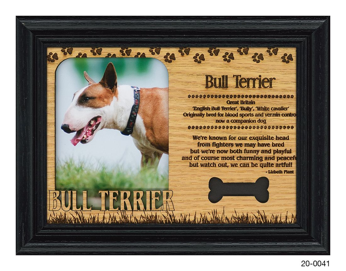 Bull Terrier