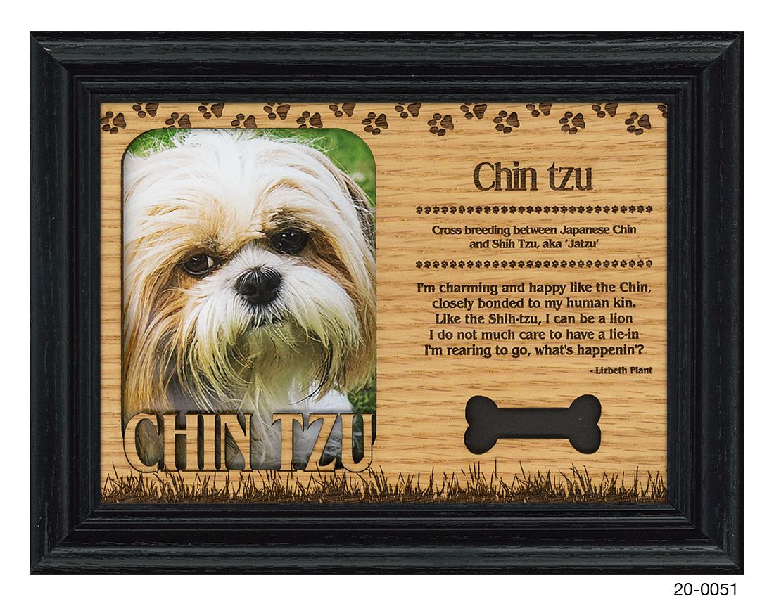 Chin Tzu