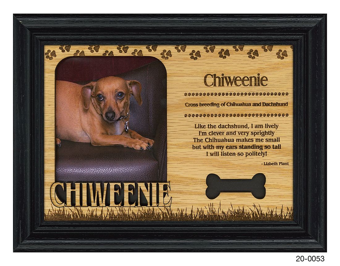 Chiweenie