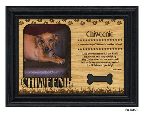 Chiweenie