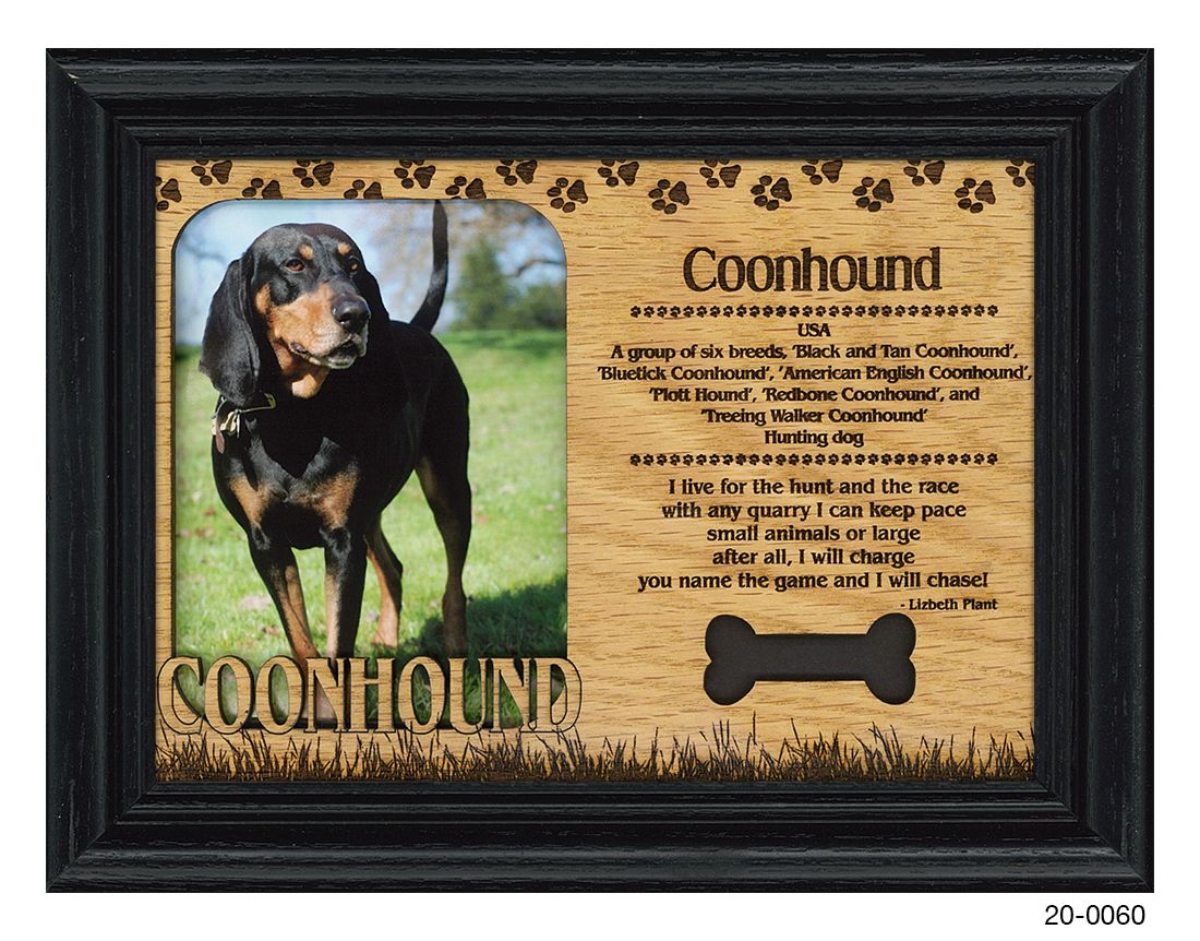 Coonhound