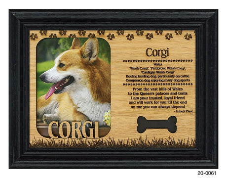 Corgi