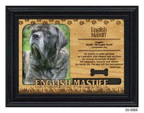 English Mastiff