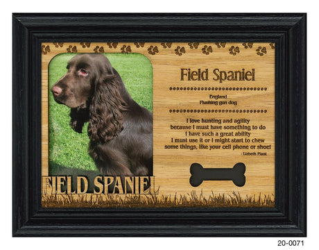 Field Spaniel