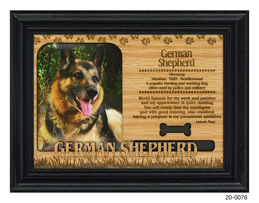 German Shepherd