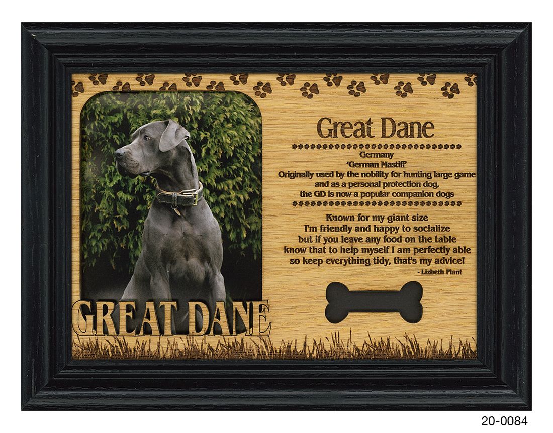 Great Dane