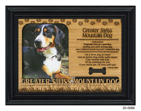 Greater Swiss Mountain Dog