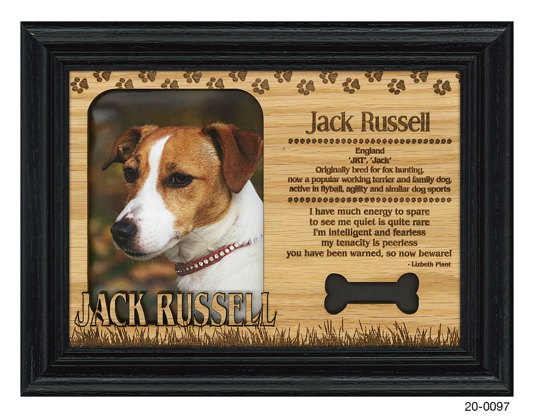 Jack Russell