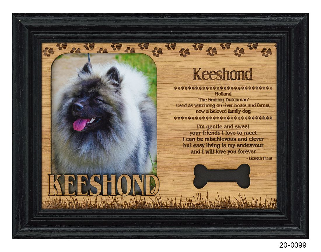 Keeshond