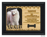 Samoyed