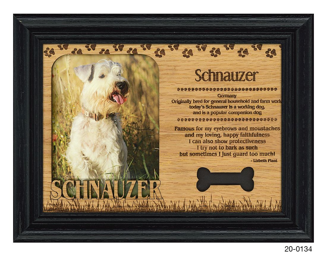 Schnauzer