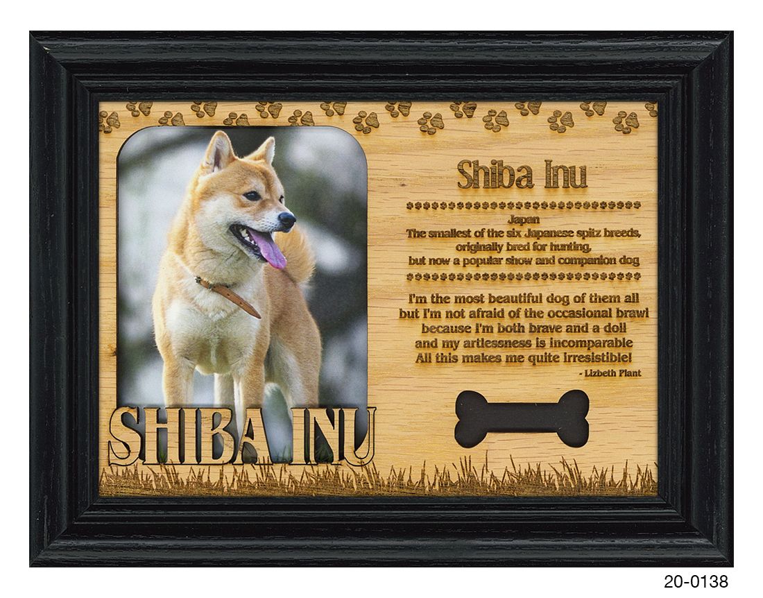 Shiba Inu