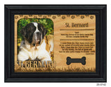 St. Bernard