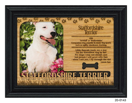 Staffordshire Terrier