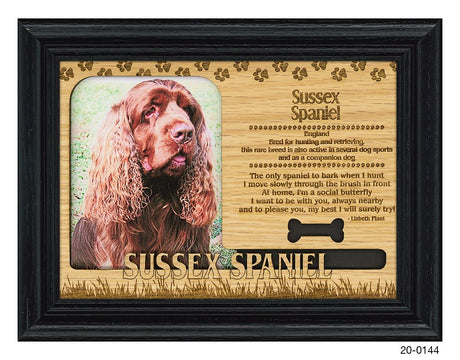 Sussex Spaniel