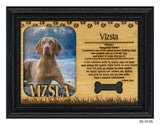 Vizsla