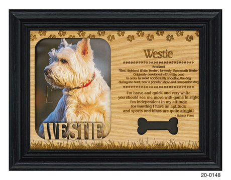 Westie