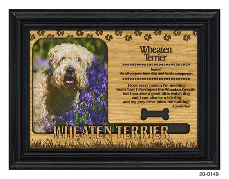 Wheaten Terrier