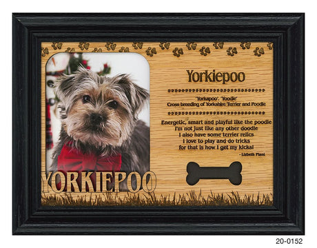 Yorkiepoo