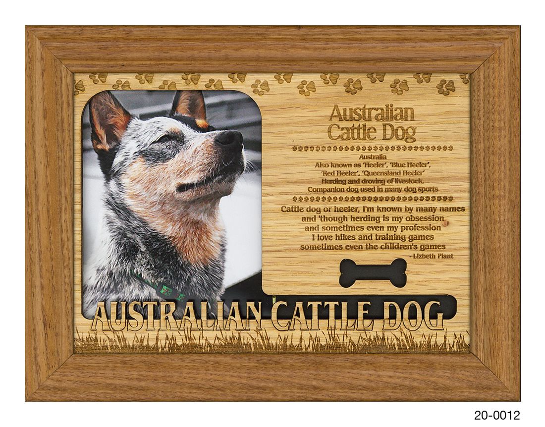 Australian Cattle Dog