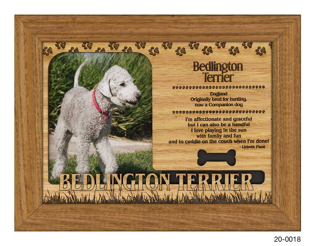 Bedlington Terrier