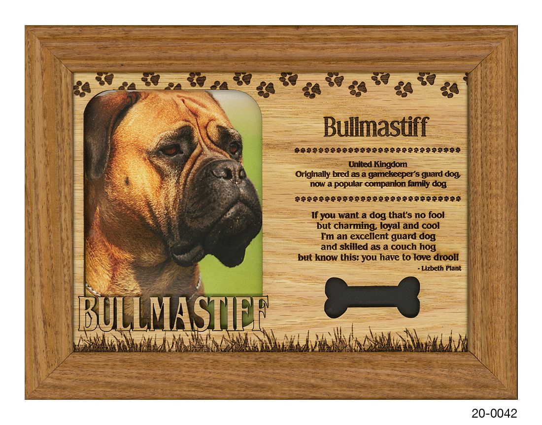 Bullmastiff