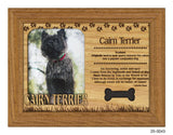 Cairn Terrier