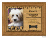 Cavapoo