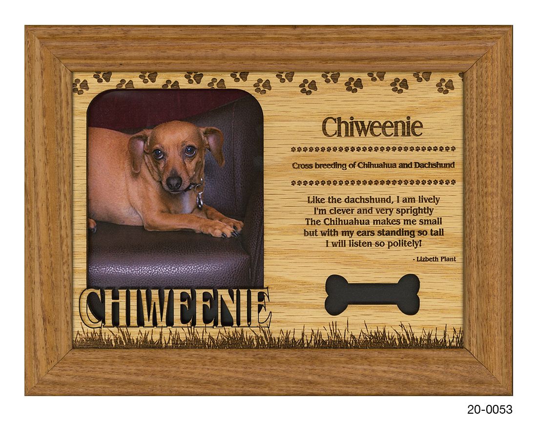 Chiweenie