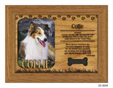 Collie