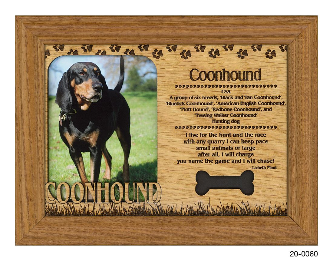 Coonhound