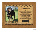 Coonhound