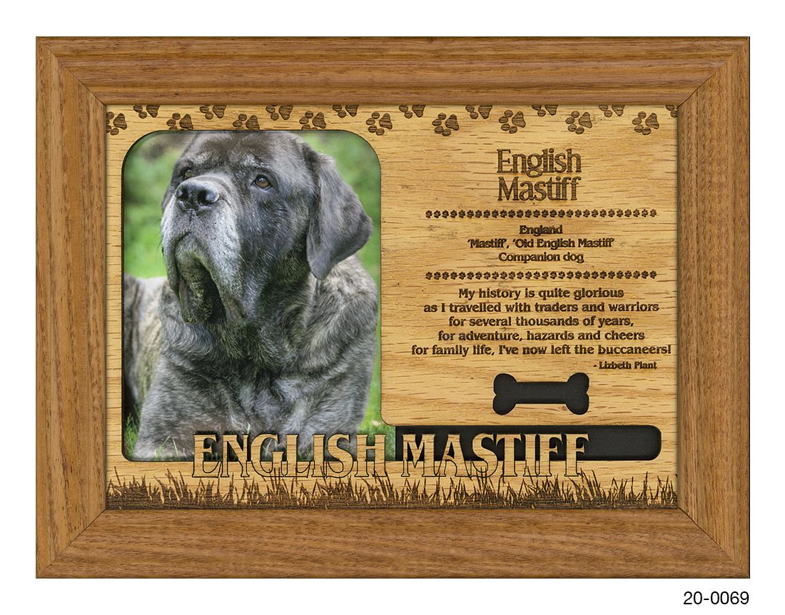 English Mastiff