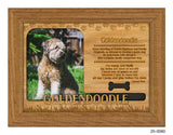 Goldendoodle