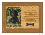 Gordon Setter