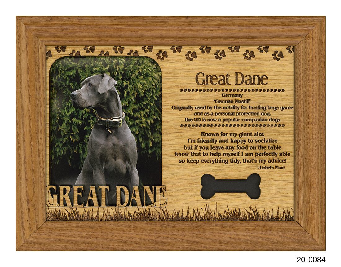 Great Dane