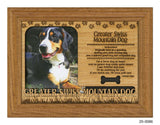 Greater Swiss Mountain Dog