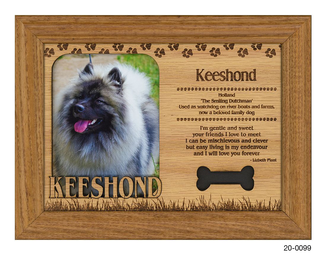 Keeshond