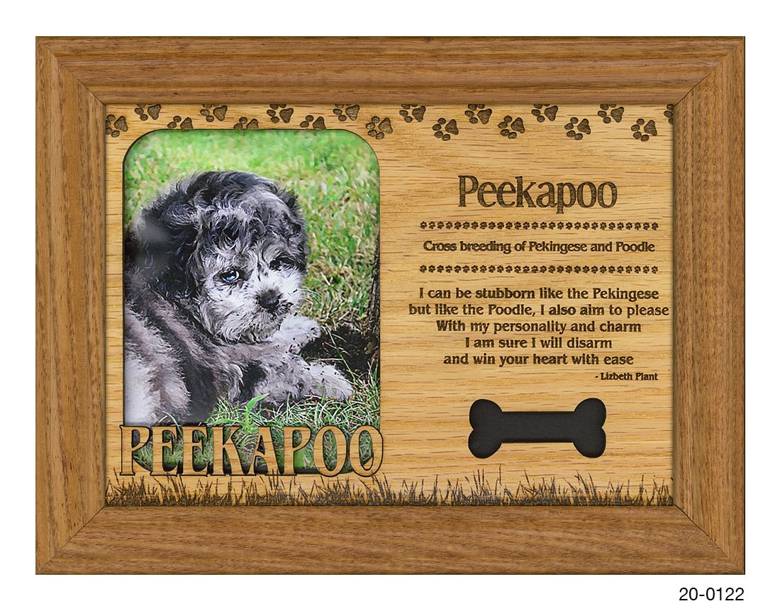 Peekapoo