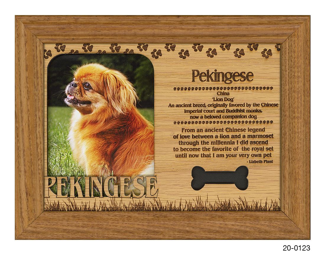 Pekingese