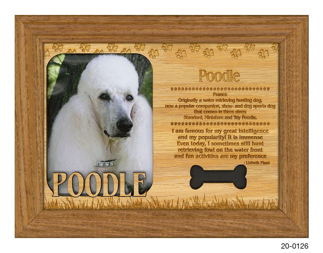 Poodle