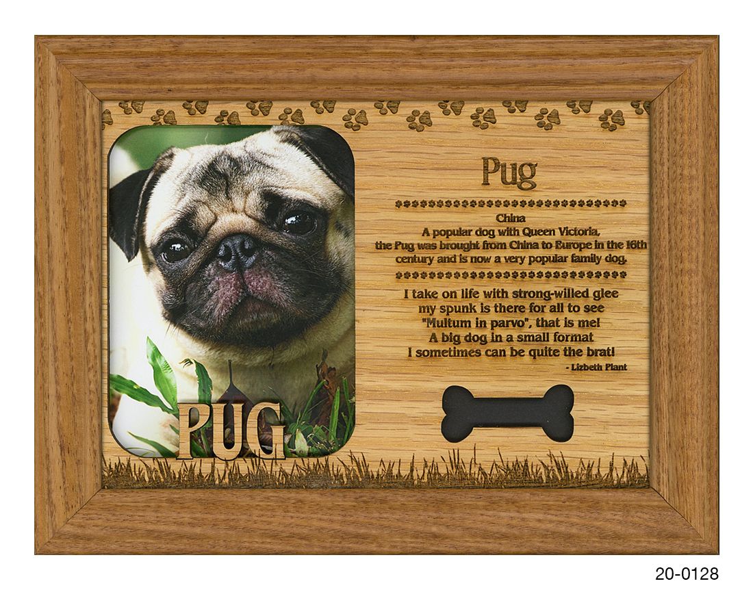 Pug