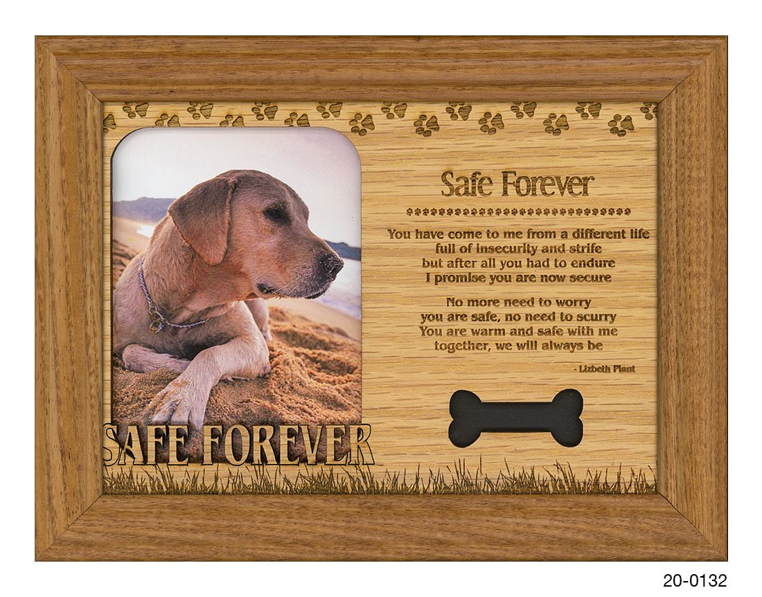 Safe Forever