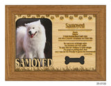 Samoyed