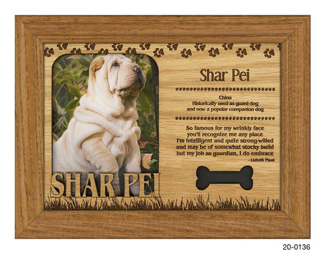 Shar Pei