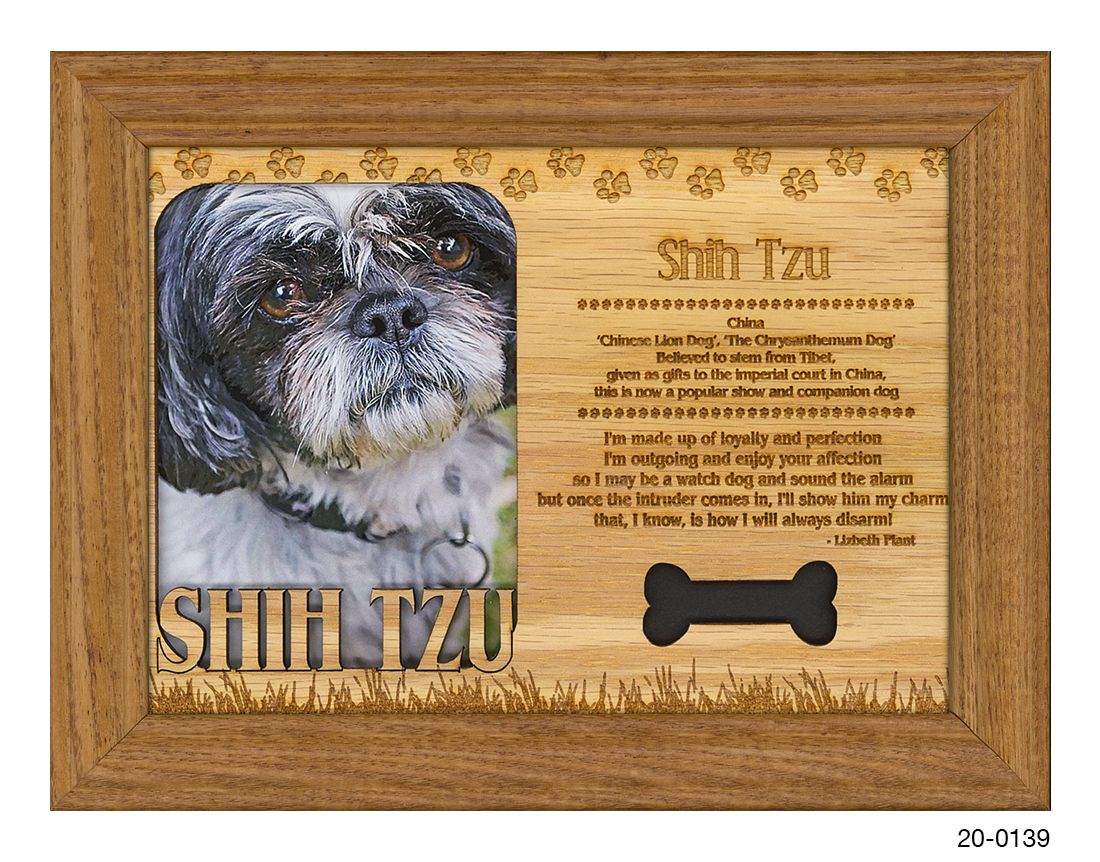 Shih Tzu