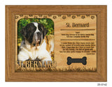 St. Bernard