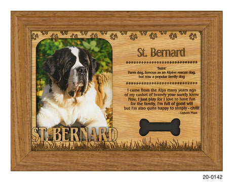 St. Bernard